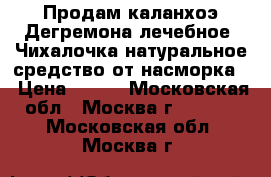 Продам каланхоэ Дегремона лечебное. Чихалочка натуральное средство от насморка. › Цена ­ 350 - Московская обл., Москва г.  »    . Московская обл.,Москва г.